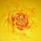 © Udo Becker - gelbe Rose - Acryl auf Leinwand - 2010 - 90 x 90 cm 